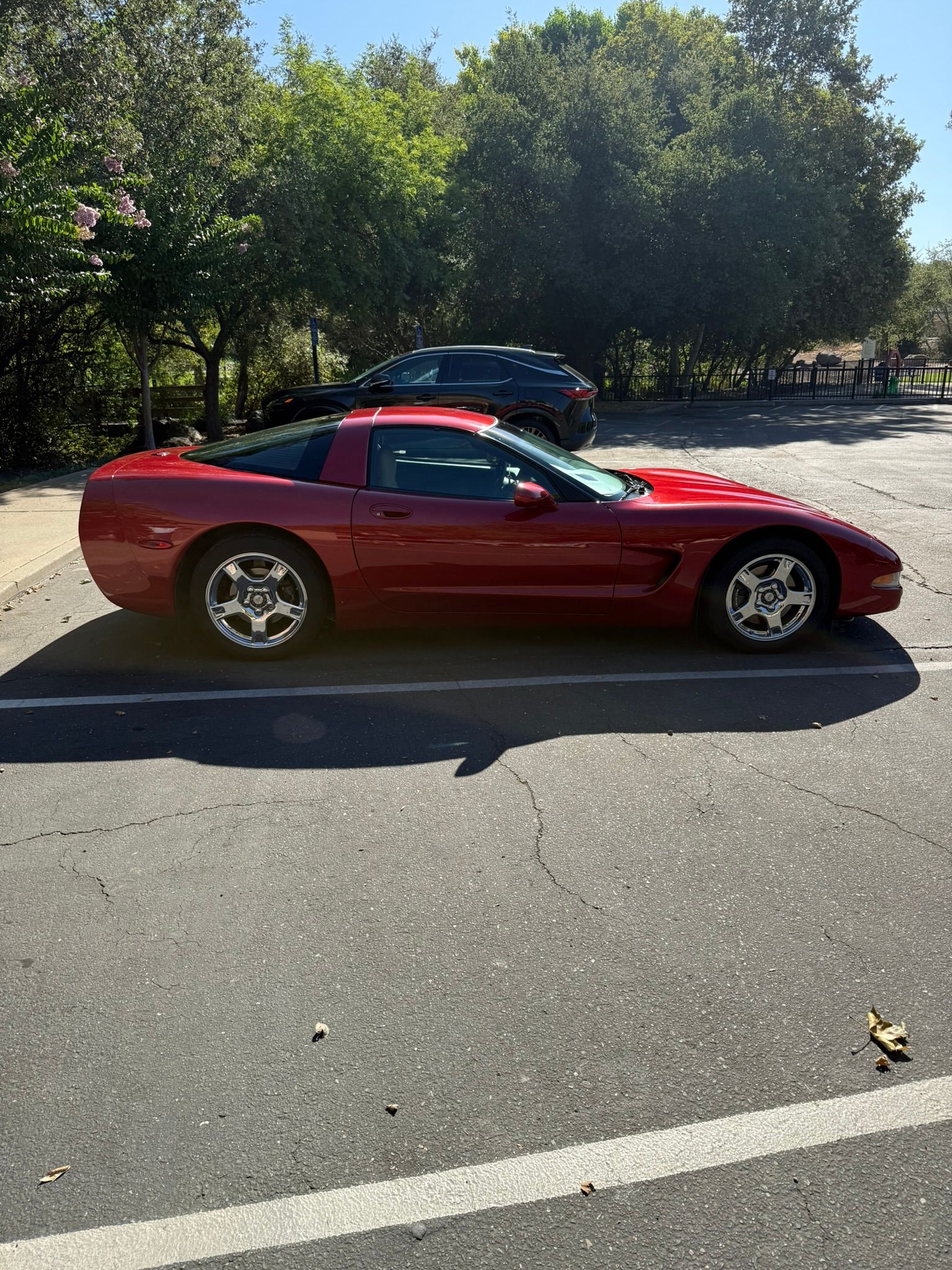 Used 1998 Chevrolet Corvette Coupe RWD image 8