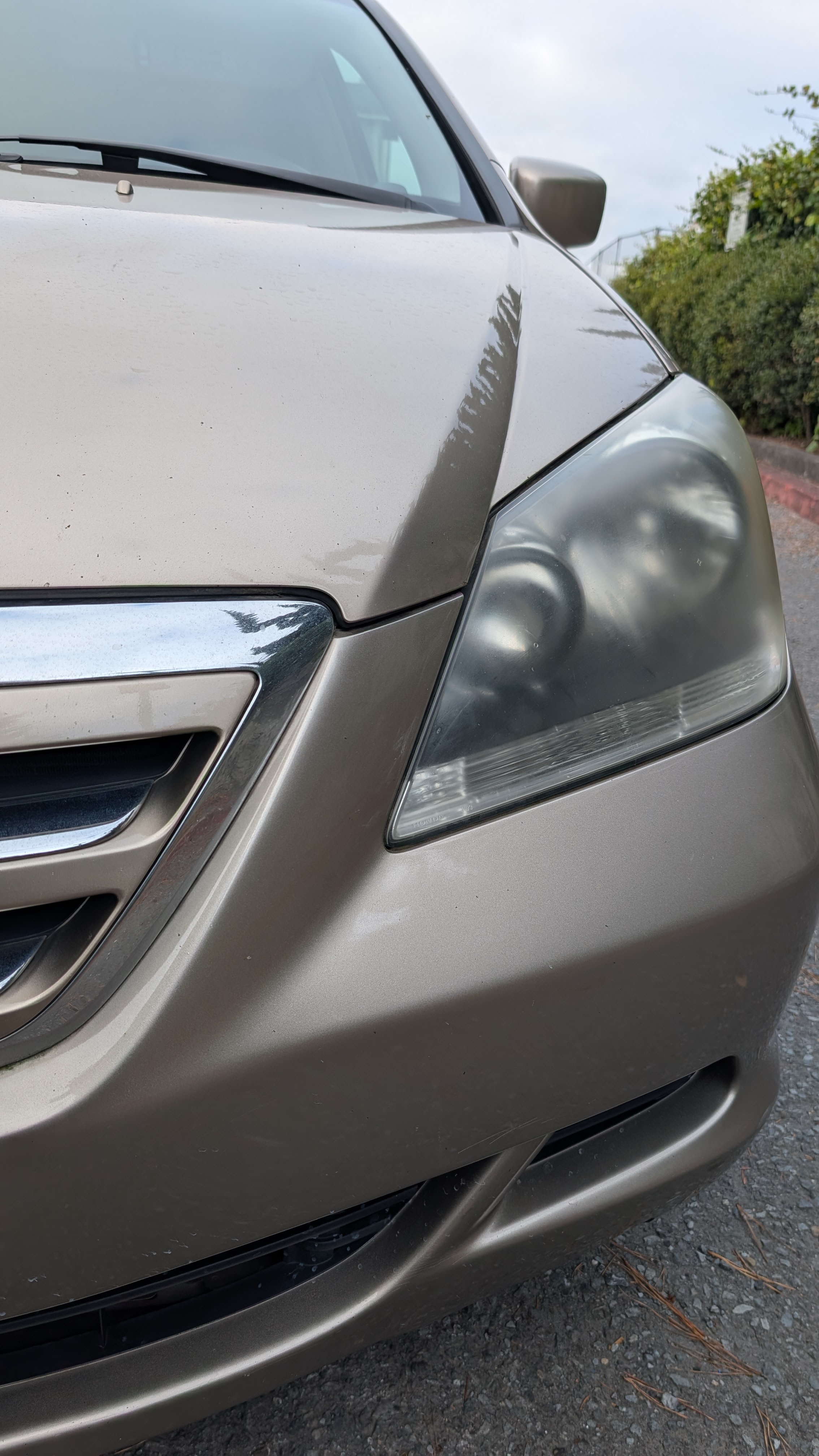 Used 2005 Honda Odyssey EX-L image 13
