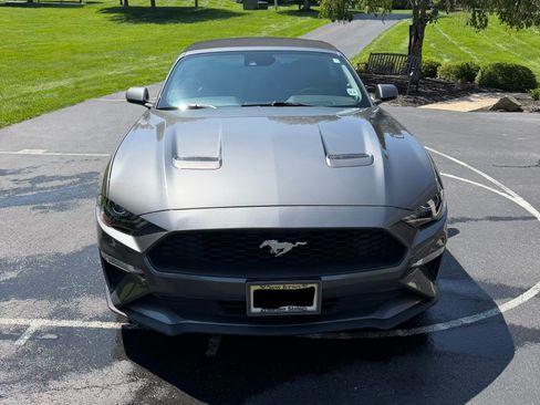 Used 2021 Ford Mustang Premium RWD image 6