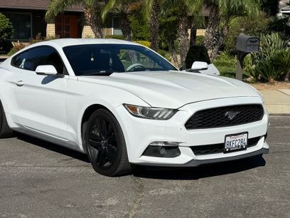 Used 2017 Ford Mustang Premium w/ Ecoboost Performance Package