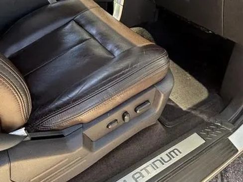 Used 2009 Ford F150 Platinum image 19