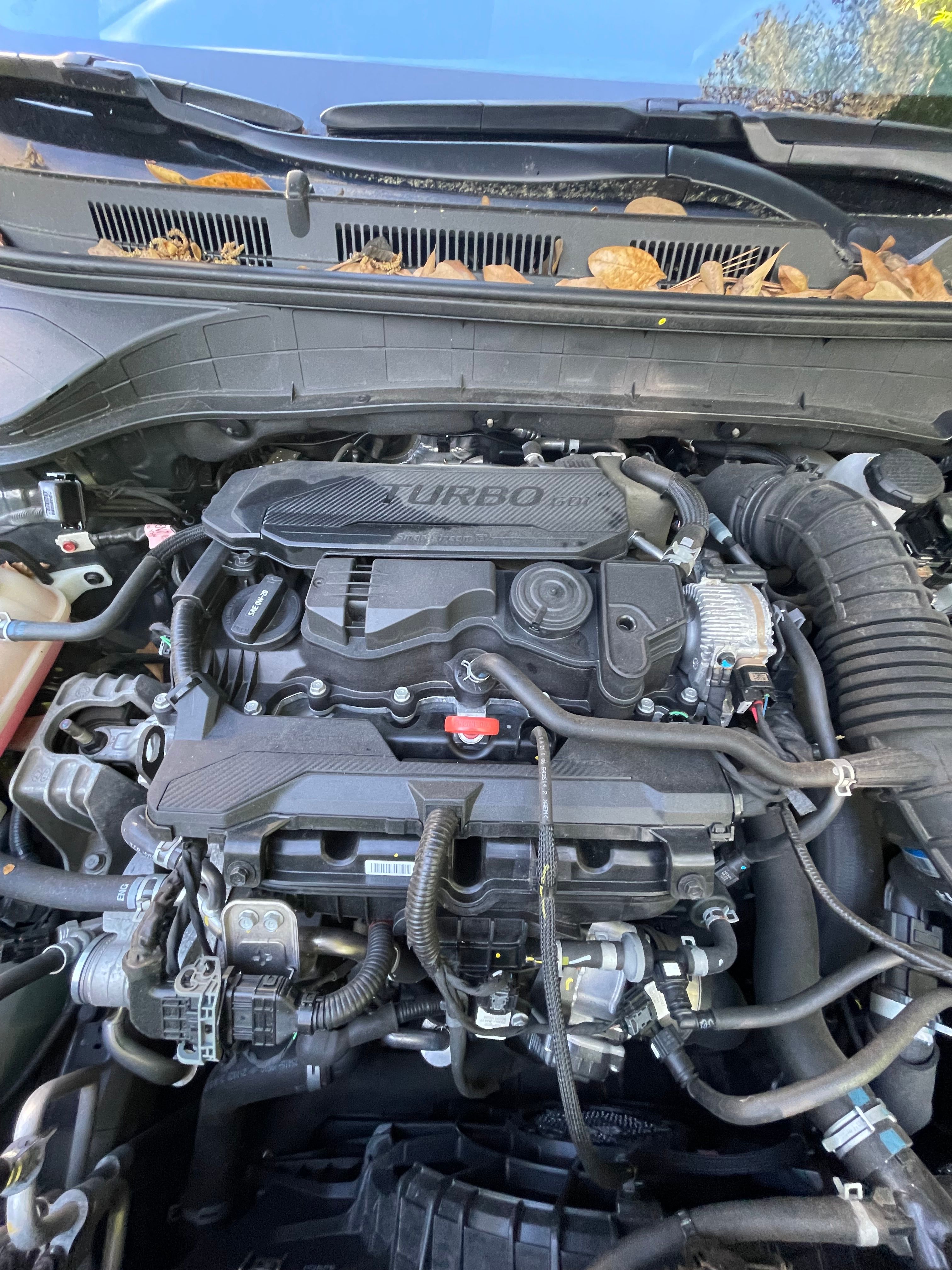 Used 2022 Hyundai Kona N Line FWD image 12