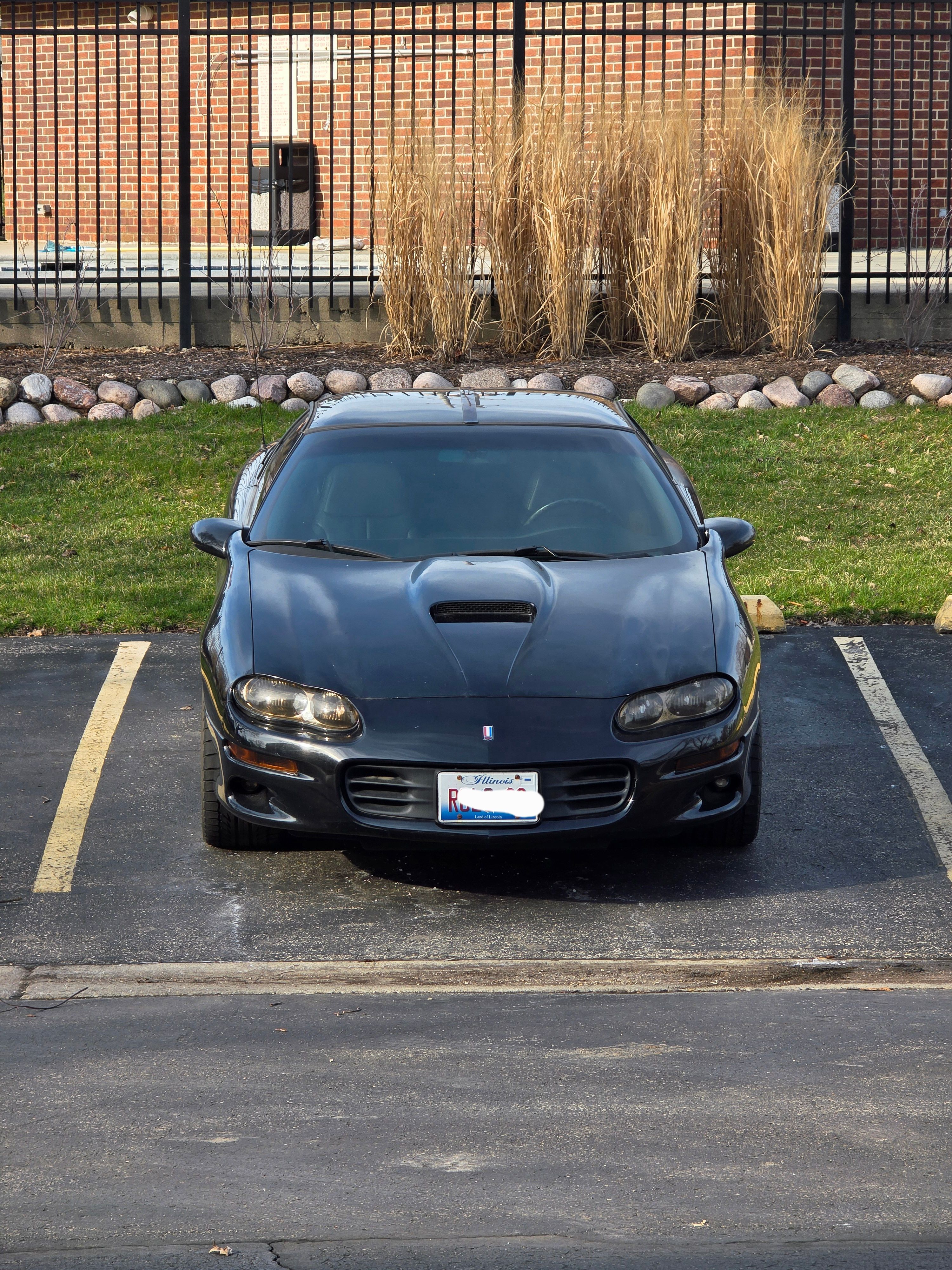 Used 2000 Chevrolet Camaro Z28 w/ SS Performance/Appearance Pkg RWD image 19