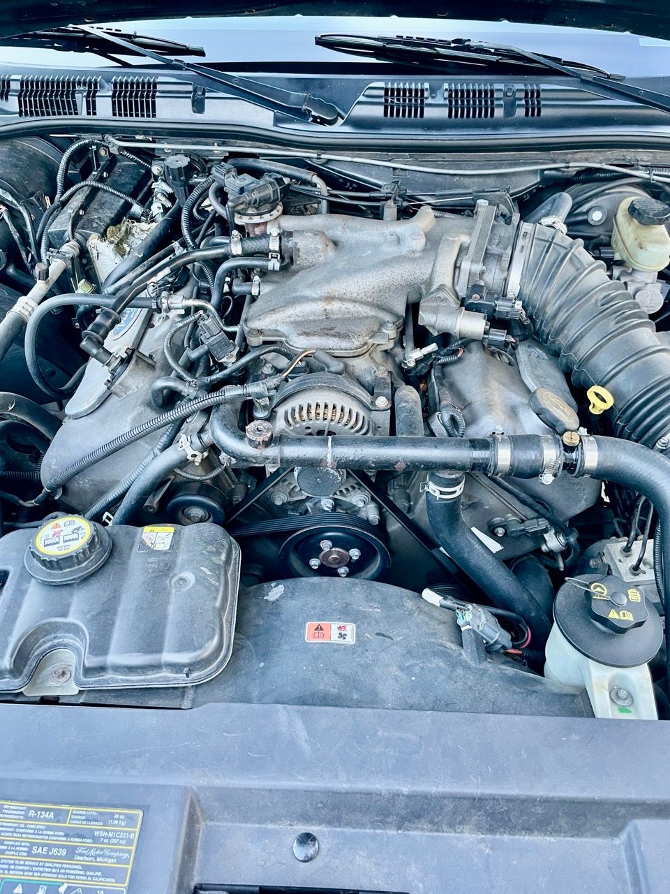 Used 2004 Mercury Marauder RWD image 15