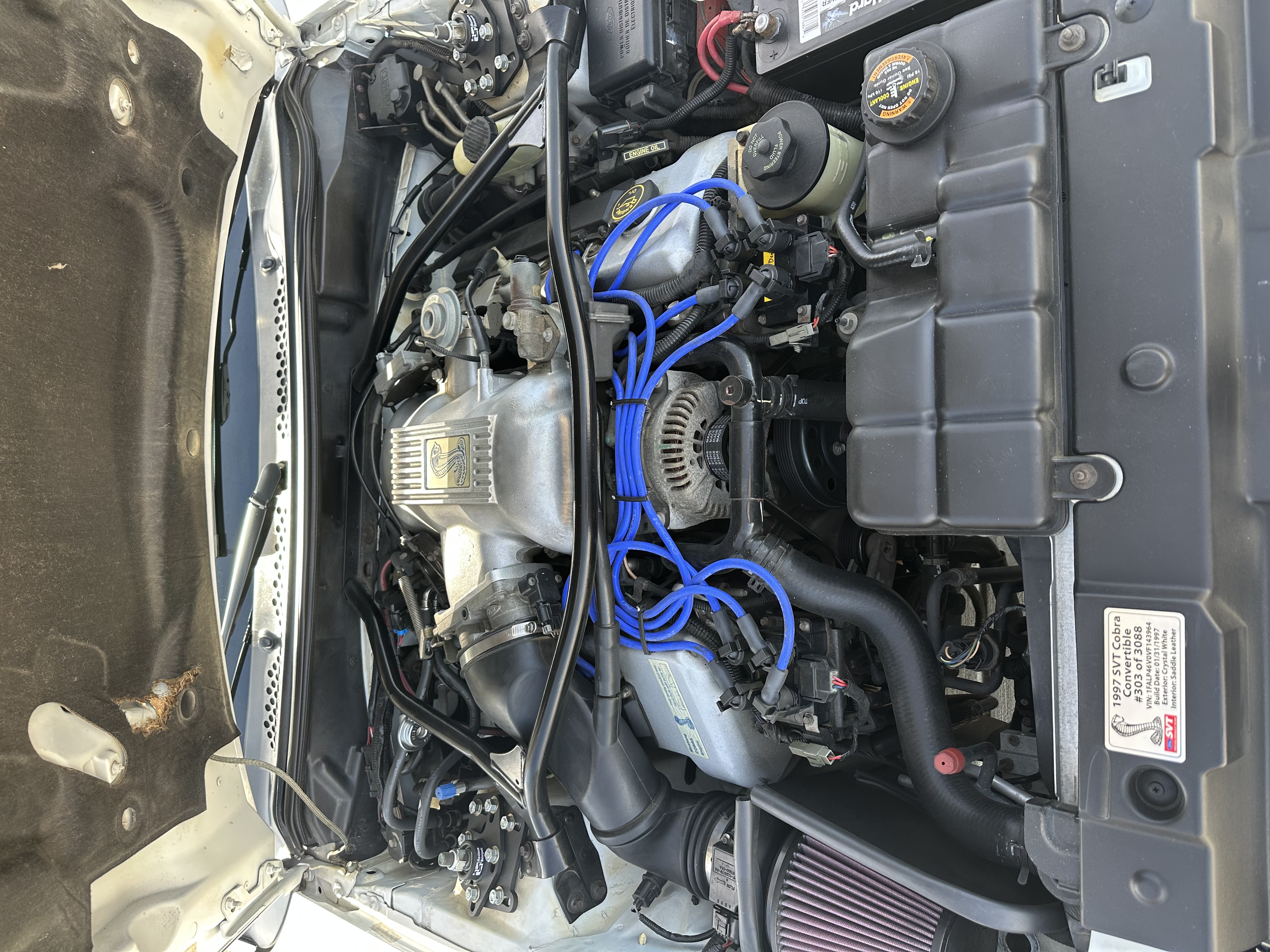 Used 1997 Ford Mustang Cobra RWD image 8