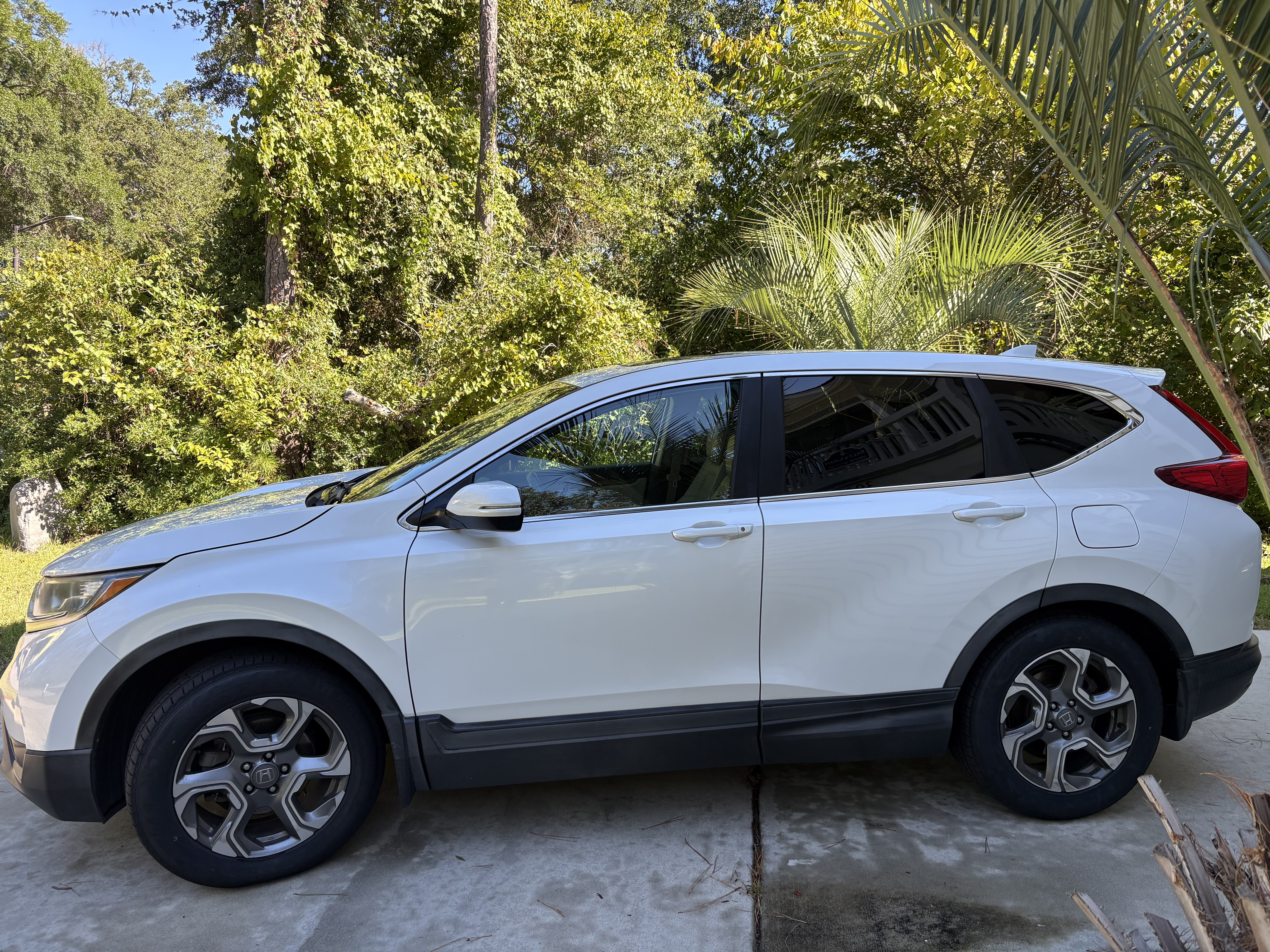 Used 2019 Honda CR-V EX-L image 1
