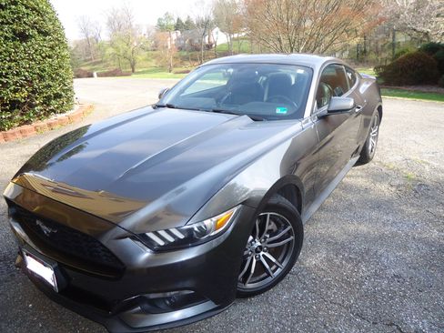 Used 2017 Ford Mustang Premium image 5