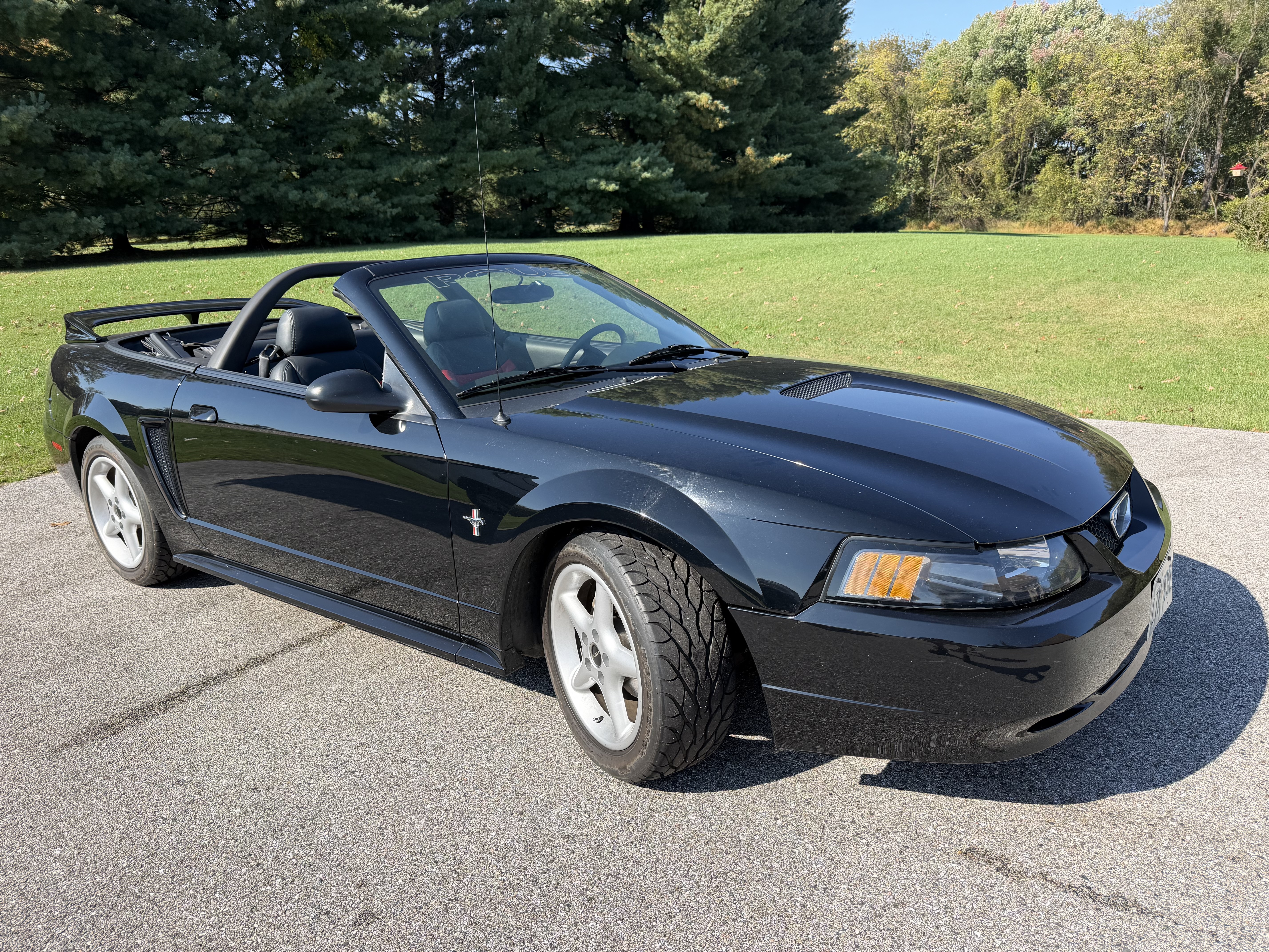 Used 2001 Ford Mustang Premium RWD image 13