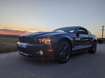 Used 2010 Ford Mustang Shelby GT500