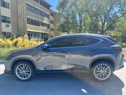 Used 2025 Lexus NX 350 AWD w/ Luxury Package