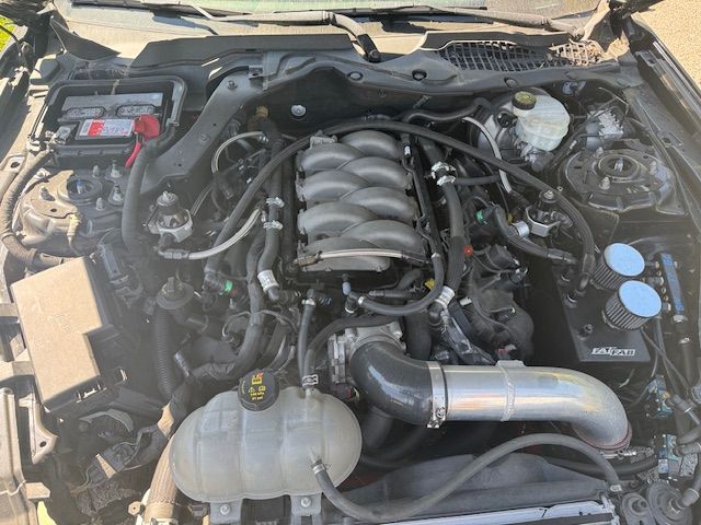 Used 2019 Ford Mustang GT RWD image 14