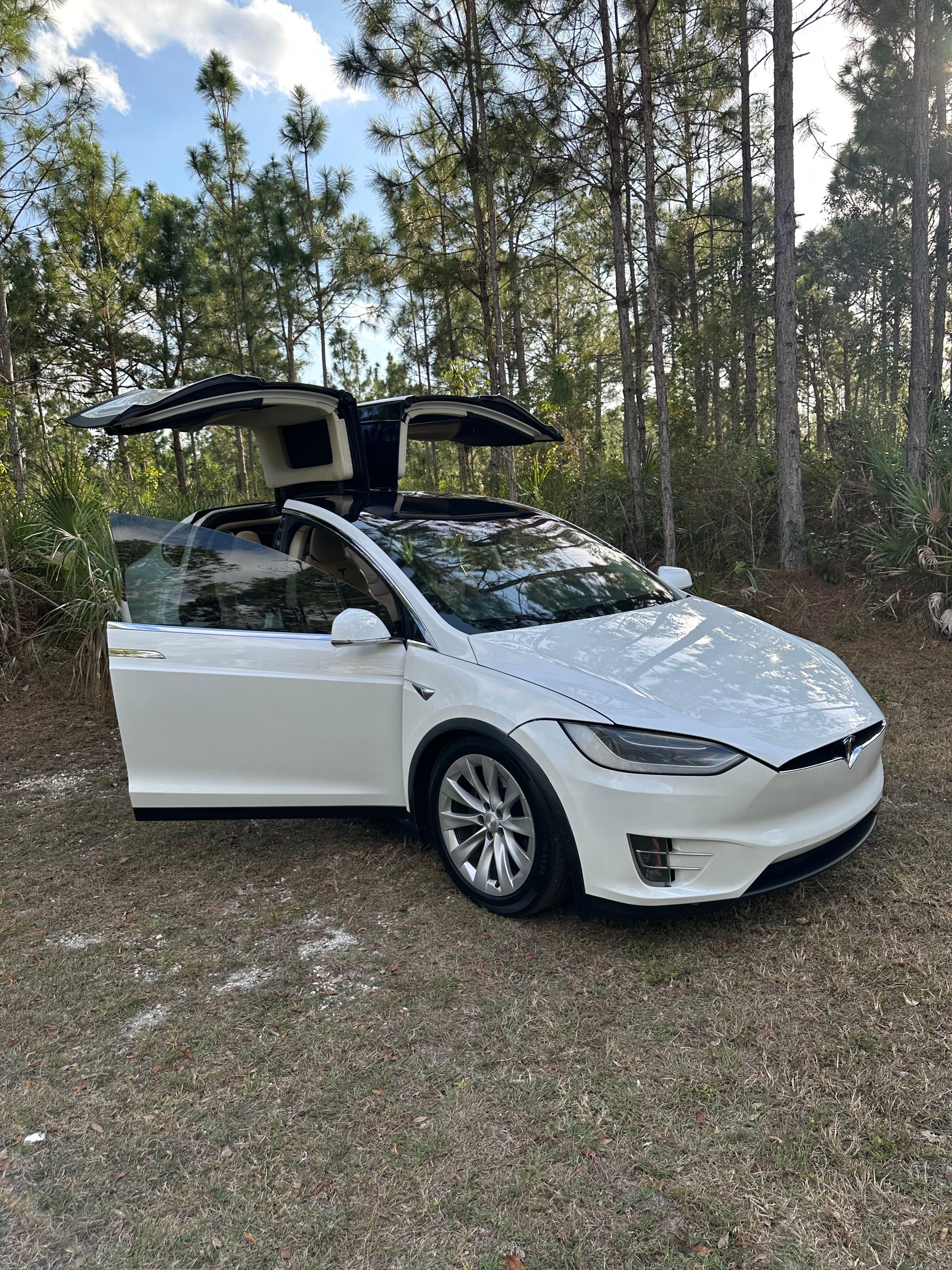 Used 2017 Tesla Model X 100D AWD/4WD image 5