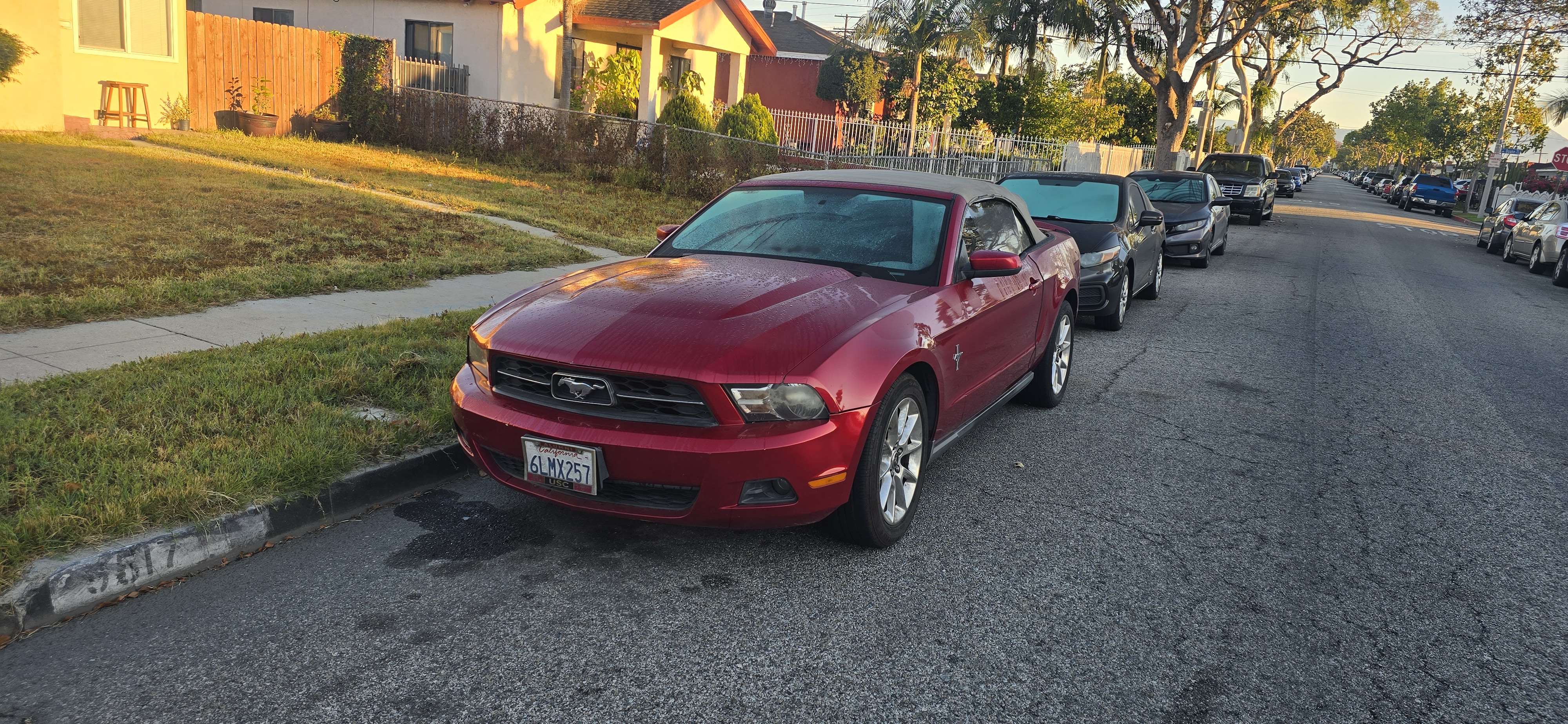 Used 2010 Ford Mustang Convertible RWD image 1