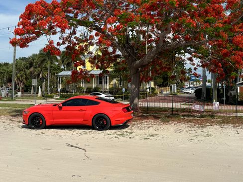 Used 2015 Ford Mustang GT Premium RWD image 8