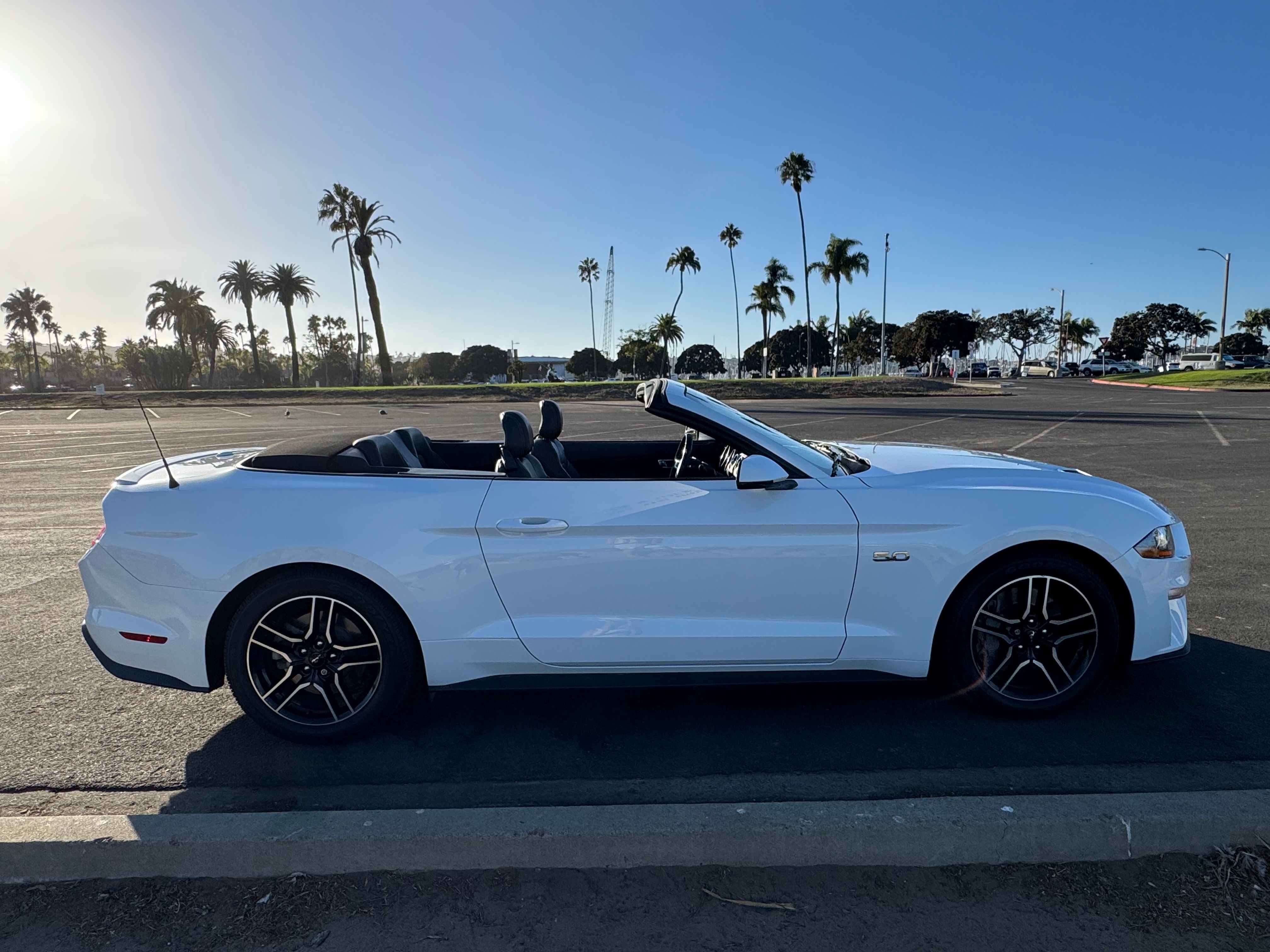 Used 2019 Ford Mustang GT Premium RWD image 4