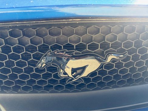 Used 2017 Ford Mustang GT Premium w/ Equipment Group 401A image 9