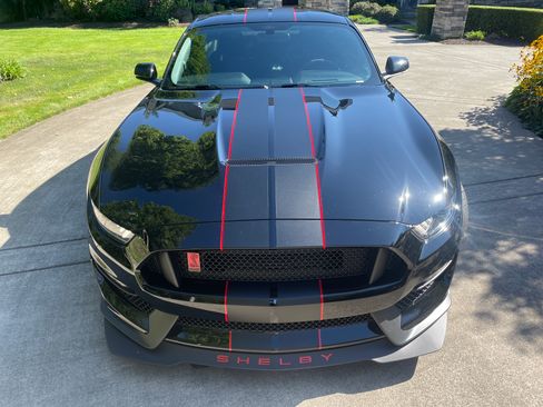 Used 2017 Ford Mustang Shelby GT350R w/ GT350R Equipment Group 920A image 1
