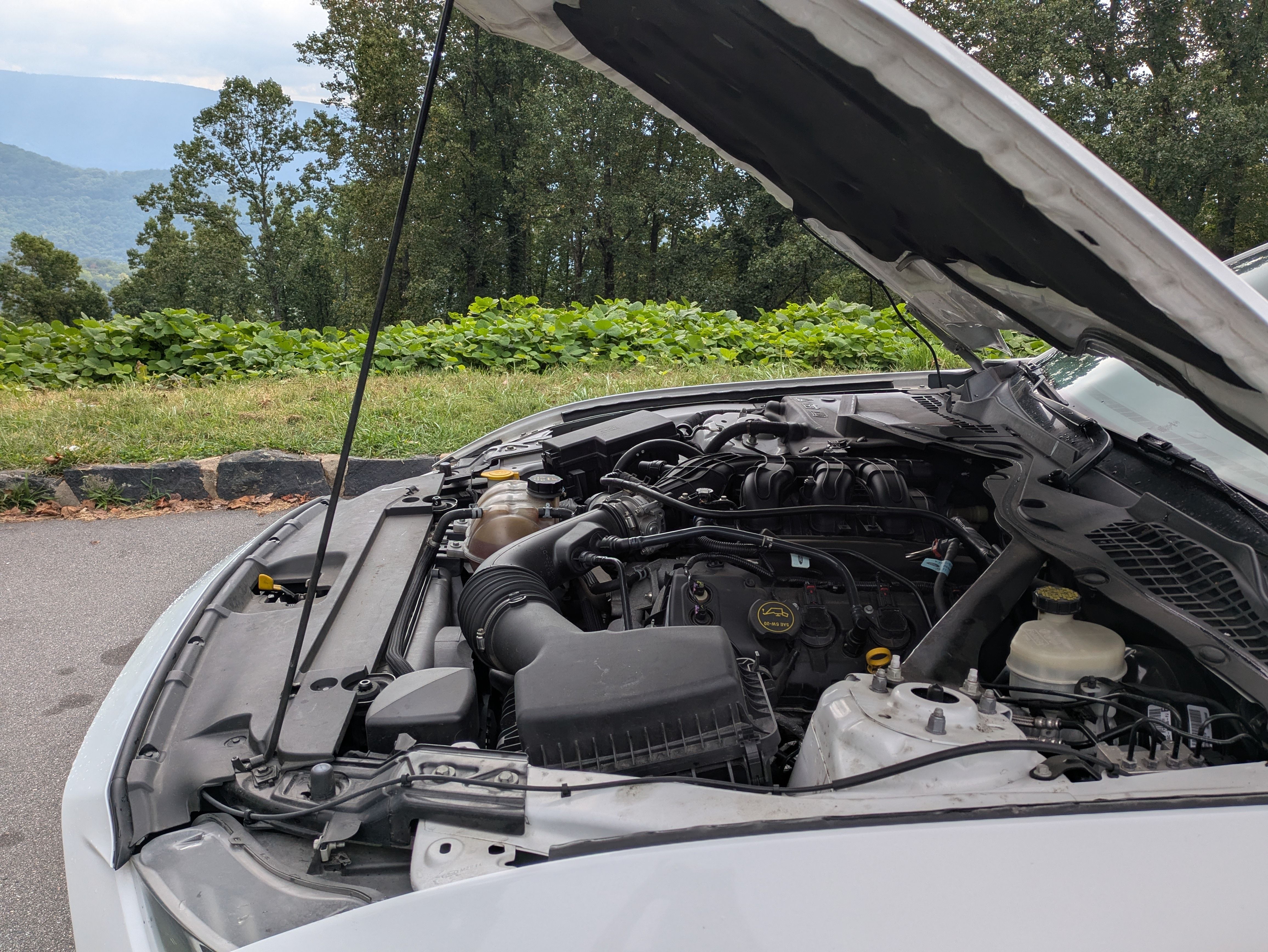 Used 2015 Ford Mustang Convertible w/ Equipment Group 051A RWD image 22