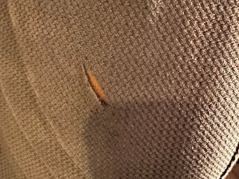 Used 2013 Ford F150 XLT w/ Luxury Equipment Group image 9