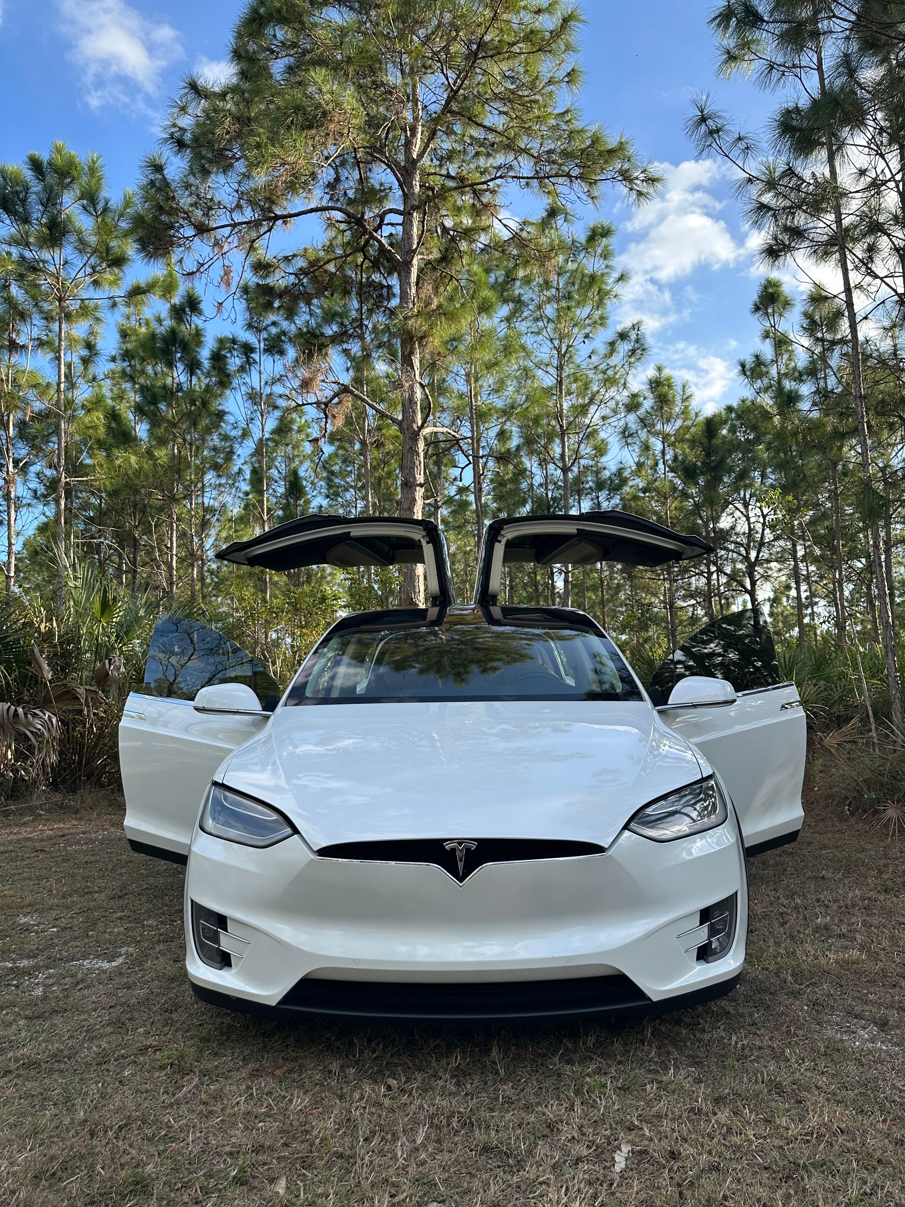 Used 2017 Tesla Model X 100D AWD/4WD image 2