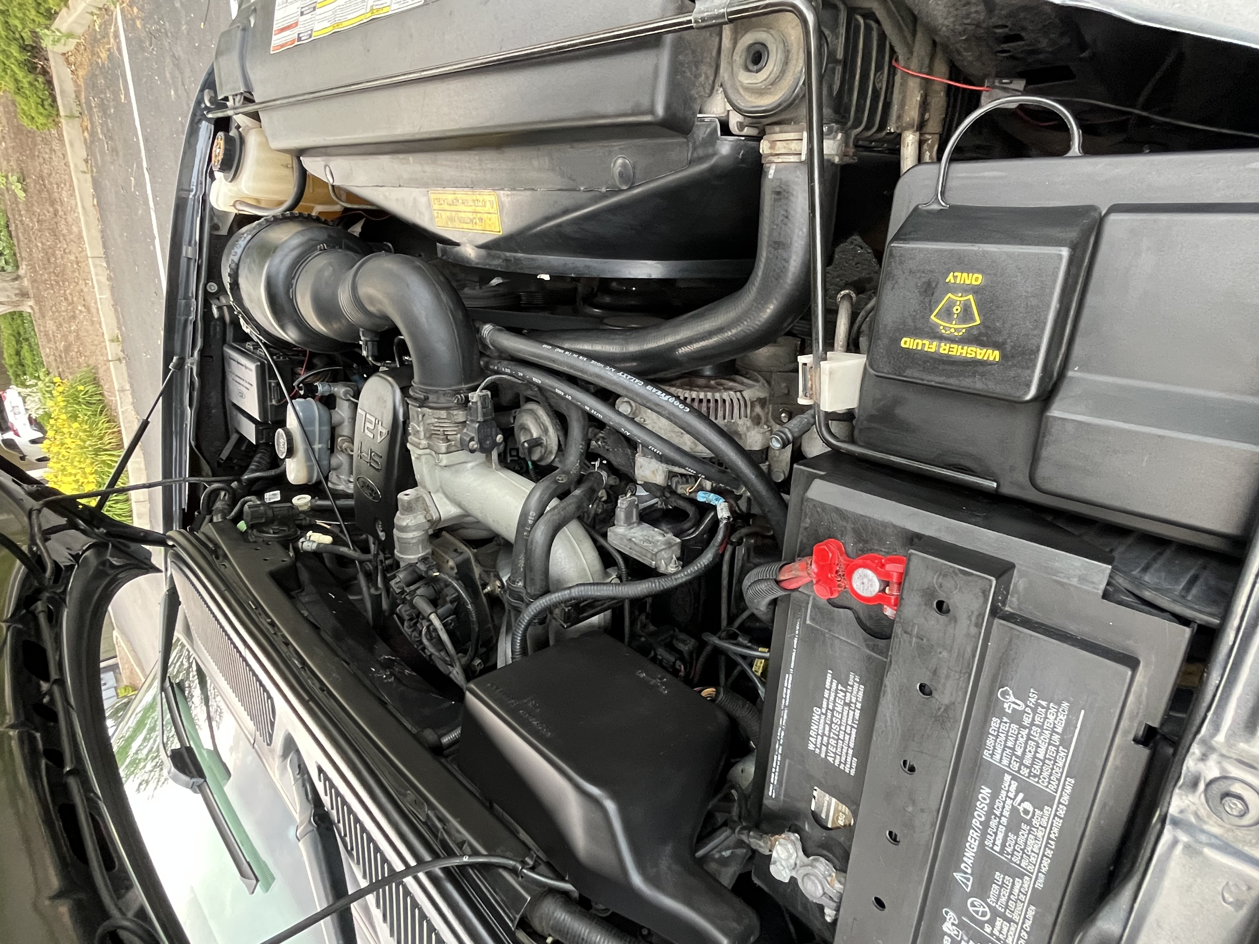Used 1998 Ford F150 2WD Regular Cab image 12