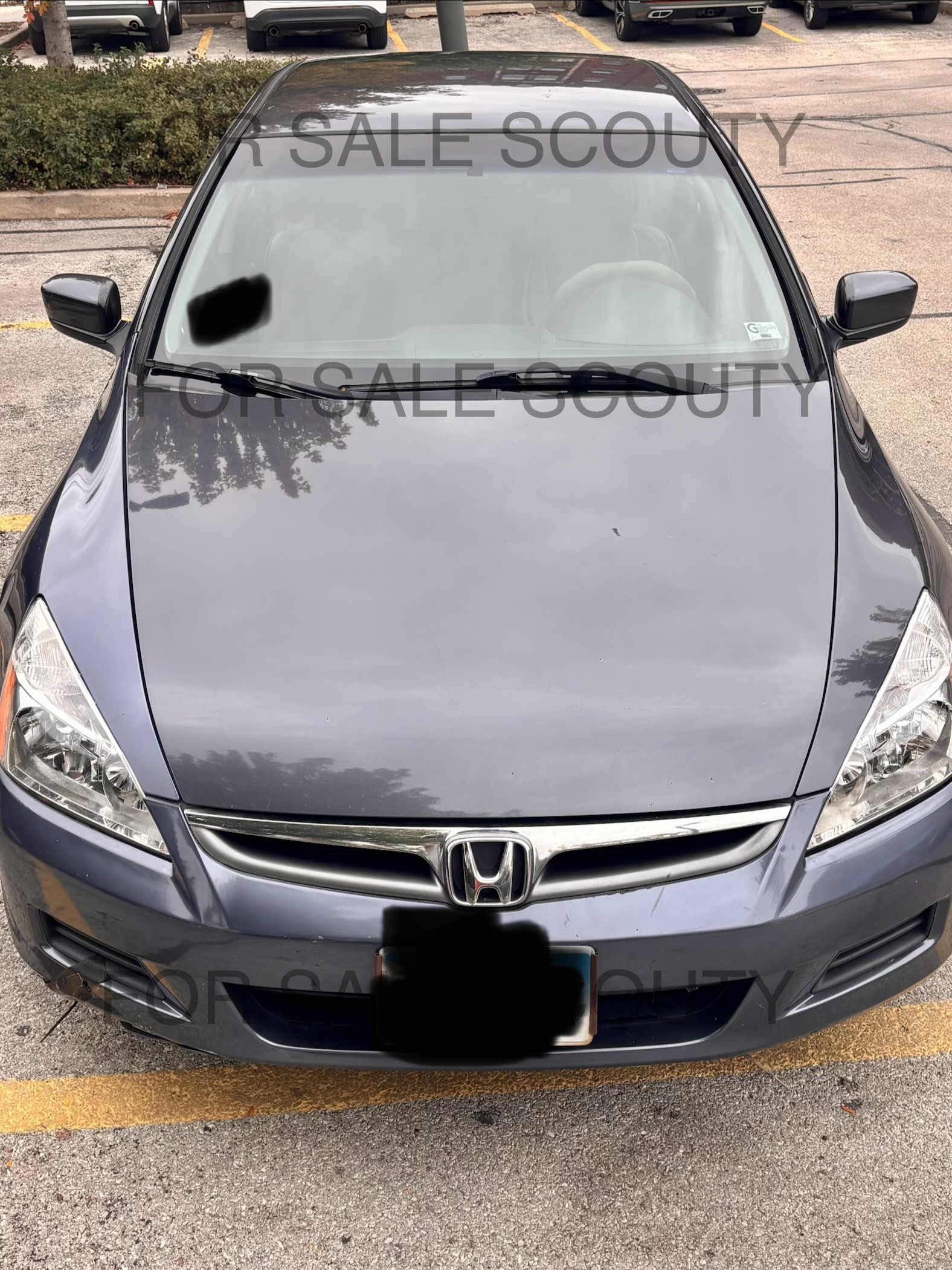 Used 2007 Honda Accord SE image 5