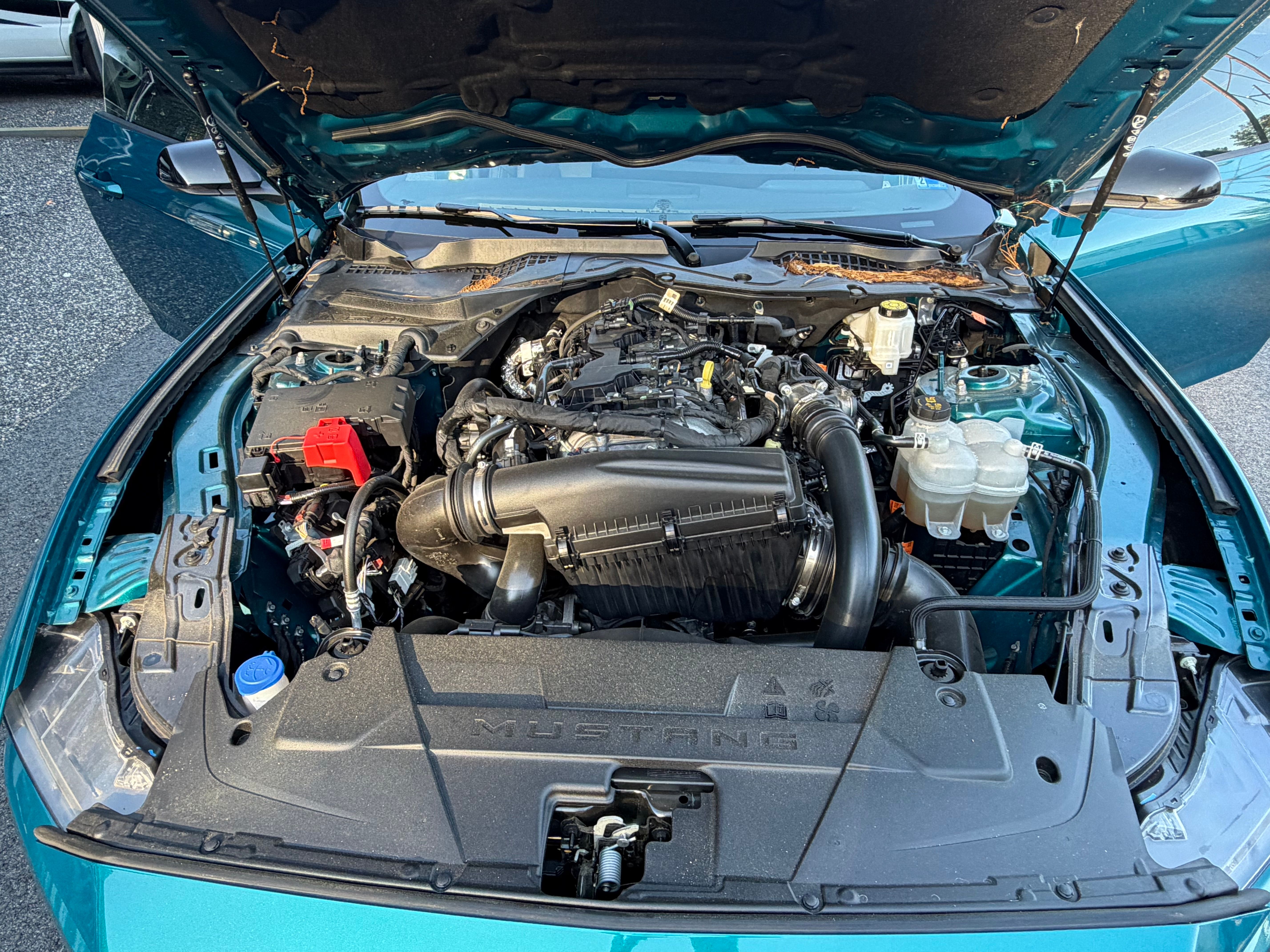 Used 2026 Ford Mustang Premium RWD image 18