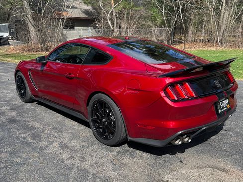Used 2019 Ford Mustang Shelby GT350 w/ Technology Package RWD image 14