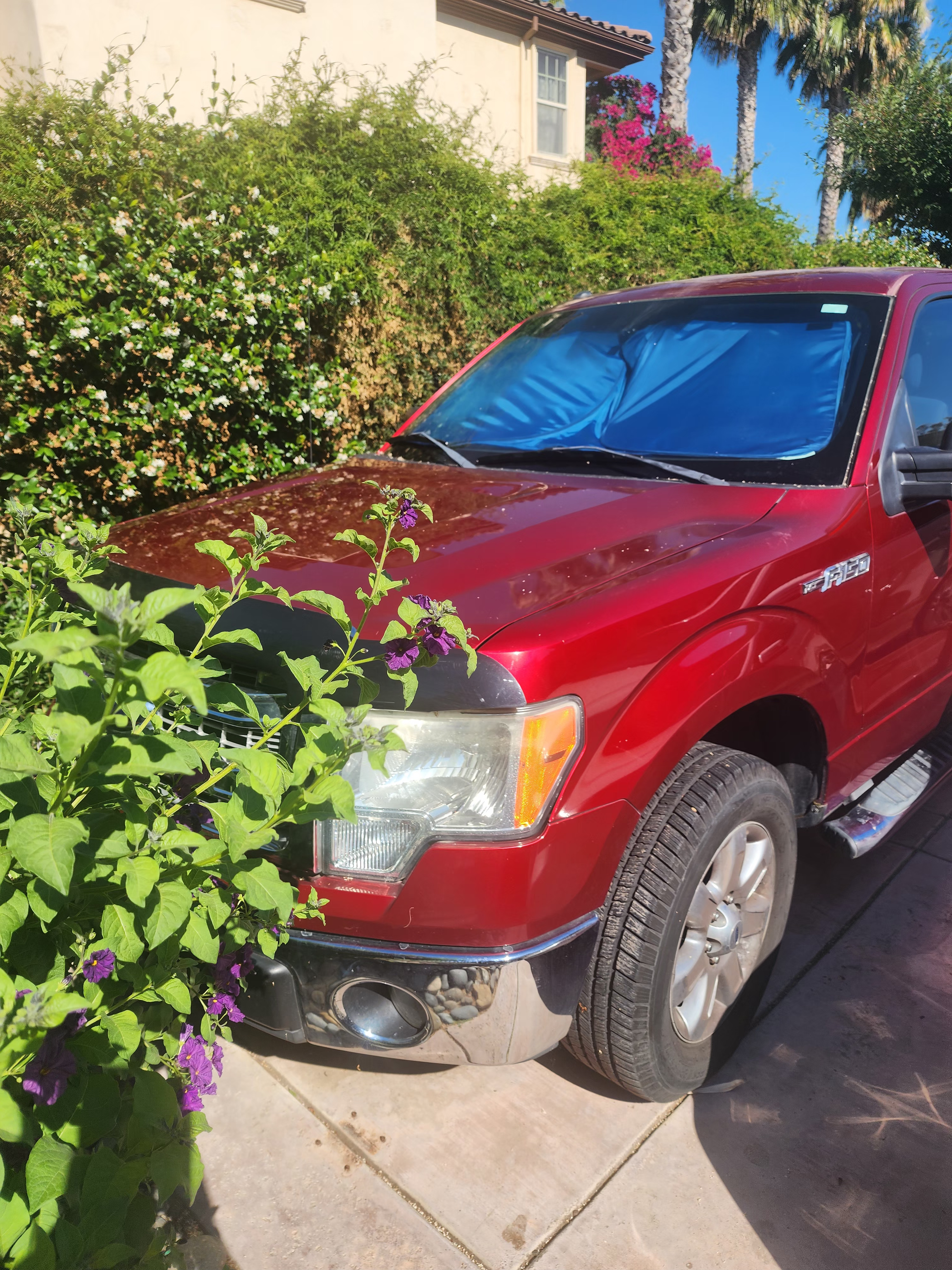 Used 2014 Ford F150 XLT w/ XLT Chrome Package RWD image 2
