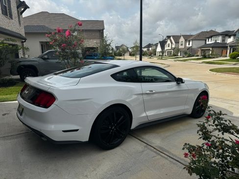 Used 2017 Ford Mustang Premium w/ Ecoboost Performance Package RWD image 5