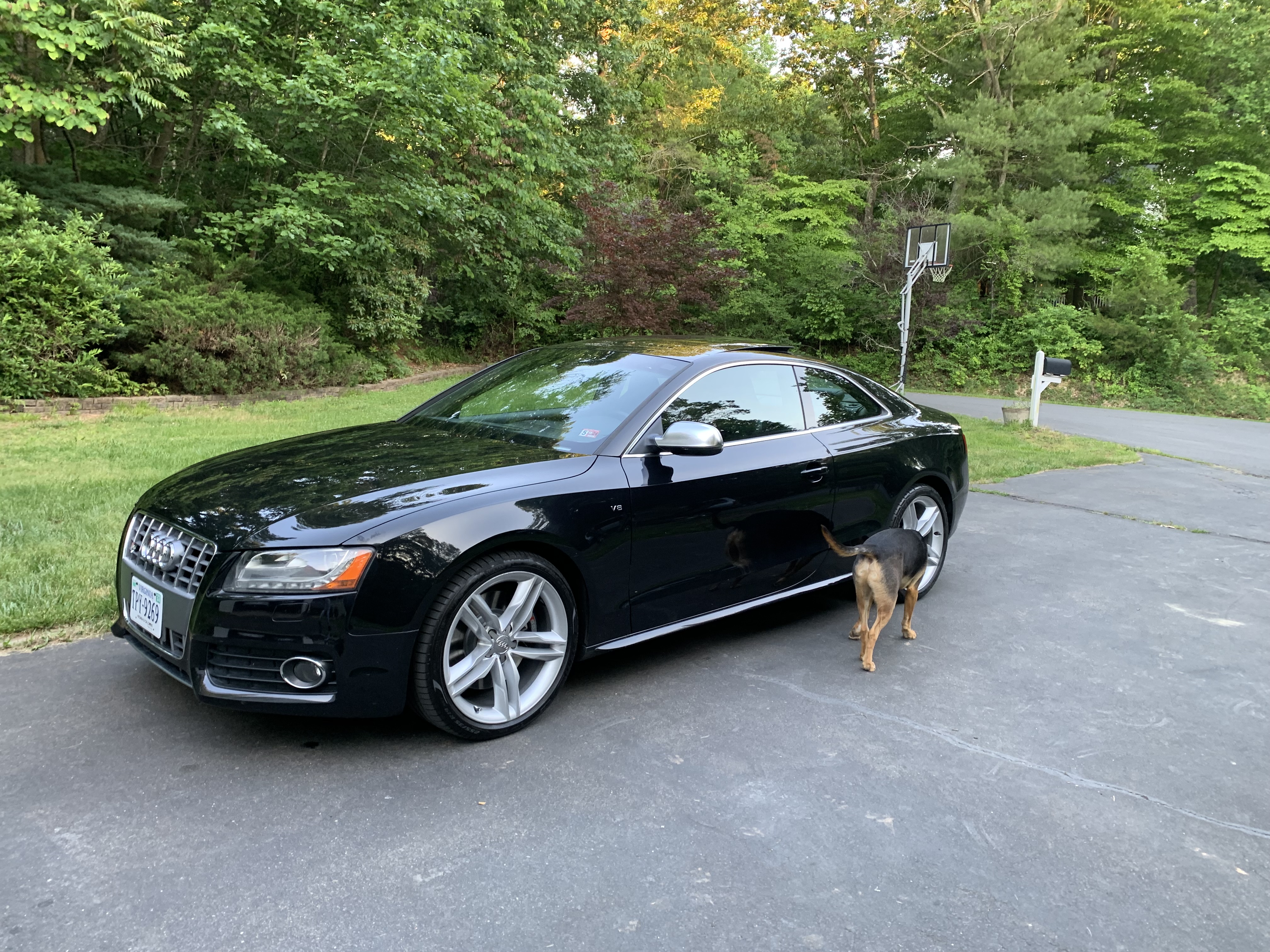 Used 2012 Audi S5 Prestige AWD/4WD image 2