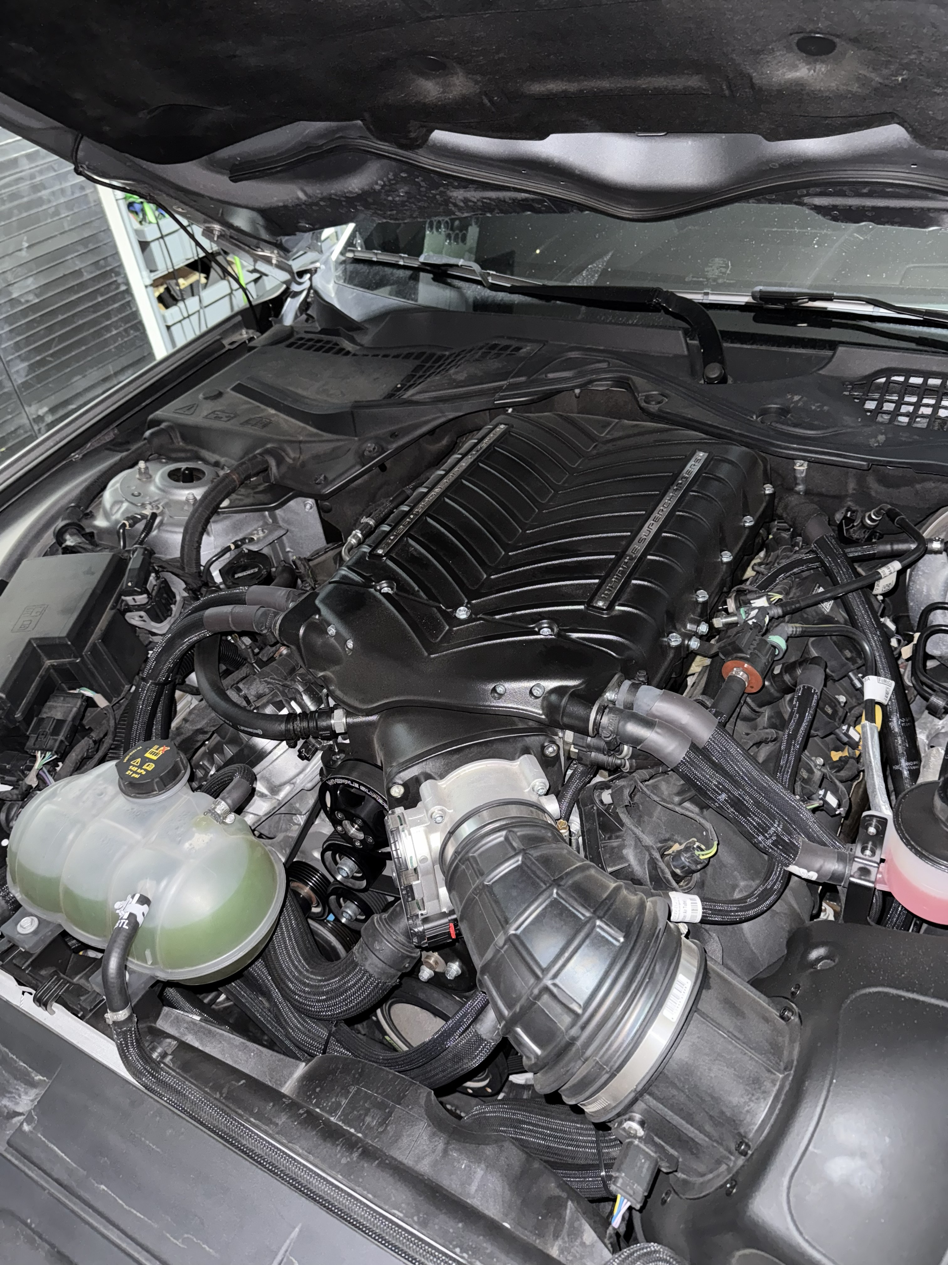 Used 2021 Ford Mustang GT Premium w/ Equipment Group 401A RWD image 2