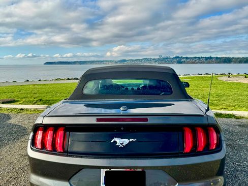 Used 2018 Ford Mustang Premium image 2