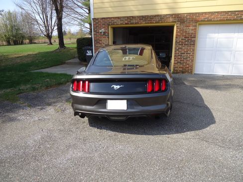 Used 2017 Ford Mustang Premium image 10