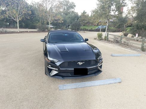 Used 2018 Ford Mustang Premium image 14