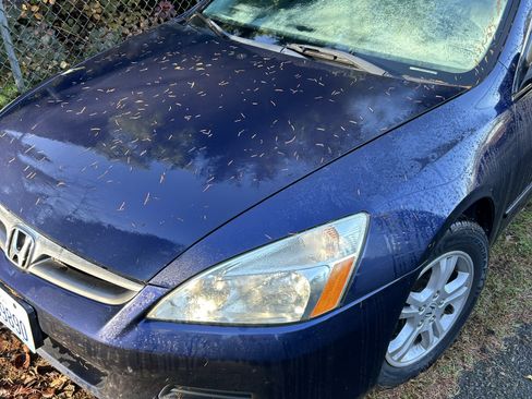 Used 2007 Honda Accord EX-L image 4