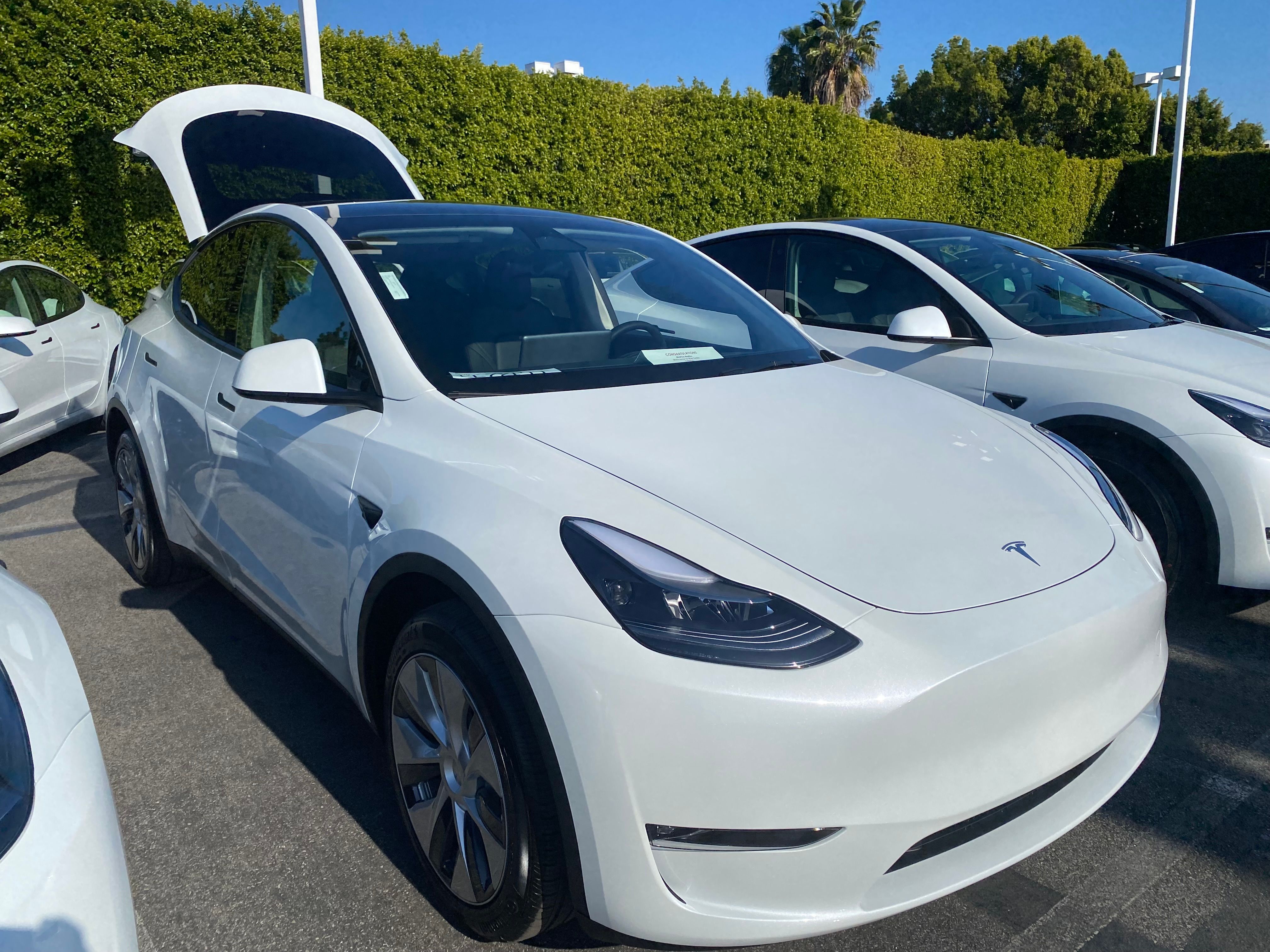 Used 2023 Tesla Model Y AWD image 3