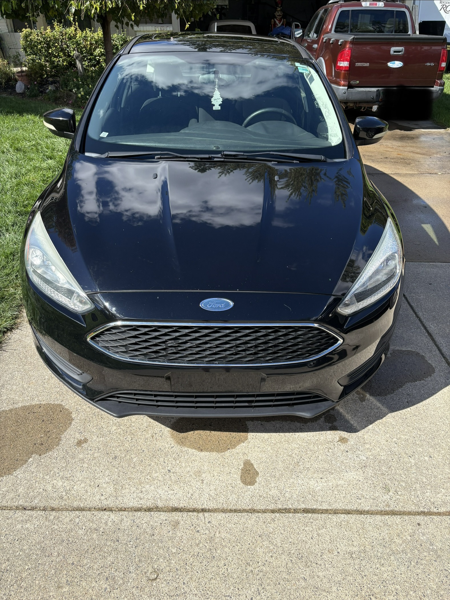 Used 2016 Ford Focus SE w/ SE Cold Weather Package FWD image 1