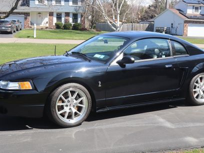 Used 1999 Ford Mustang Cobra