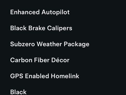 Used 2017 Tesla Model X 100D image 10