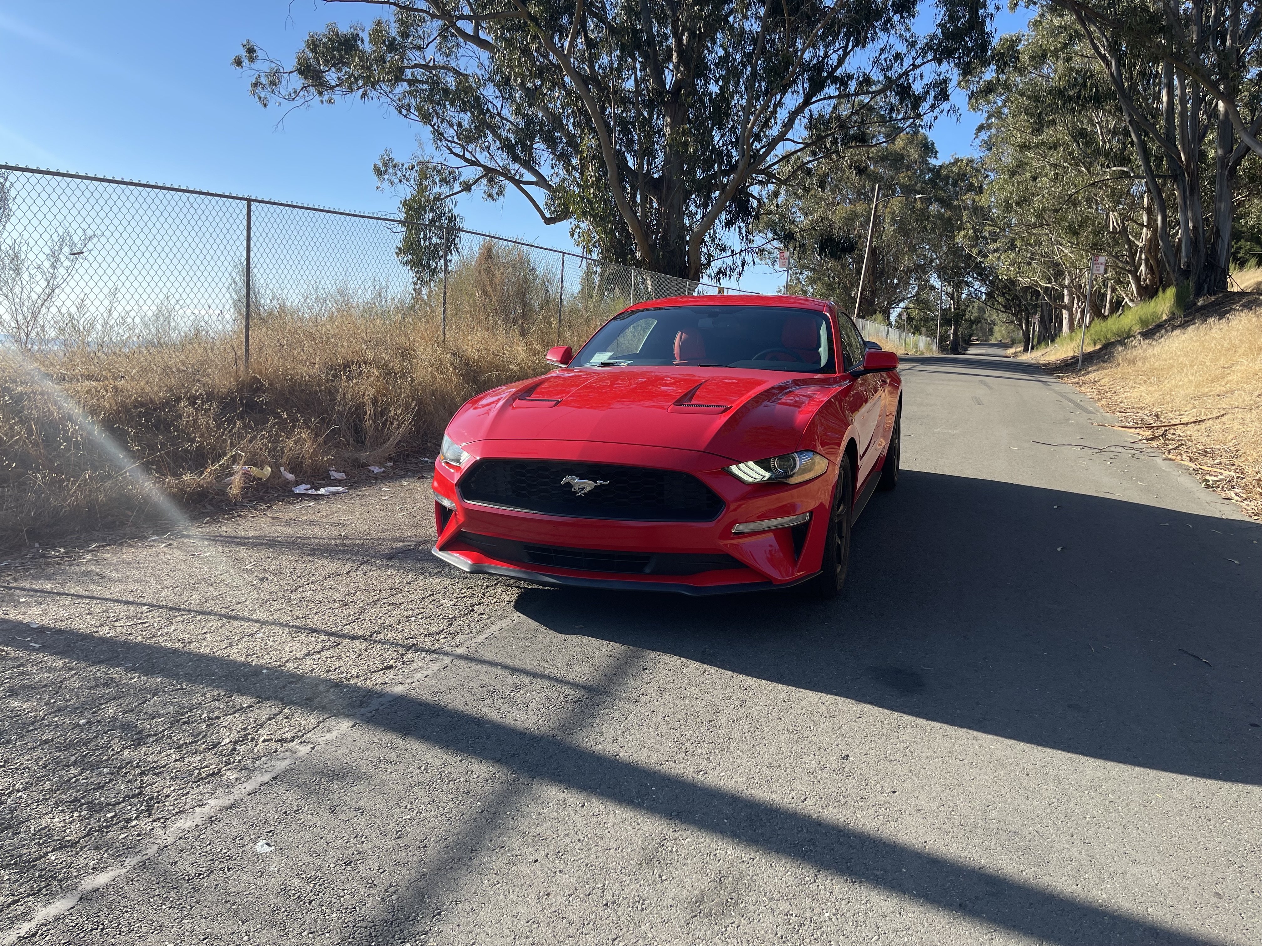 Used 2019 Ford Mustang Coupe RWD image 6