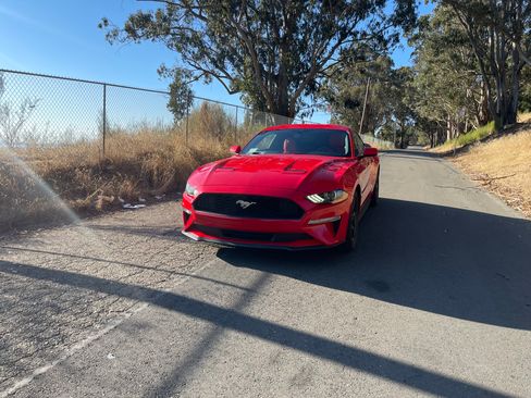 Used 2019 Ford Mustang Coupe RWD image 6
