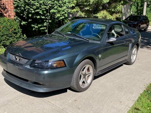 Used 1999 Ford Mustang GT RWD image 12