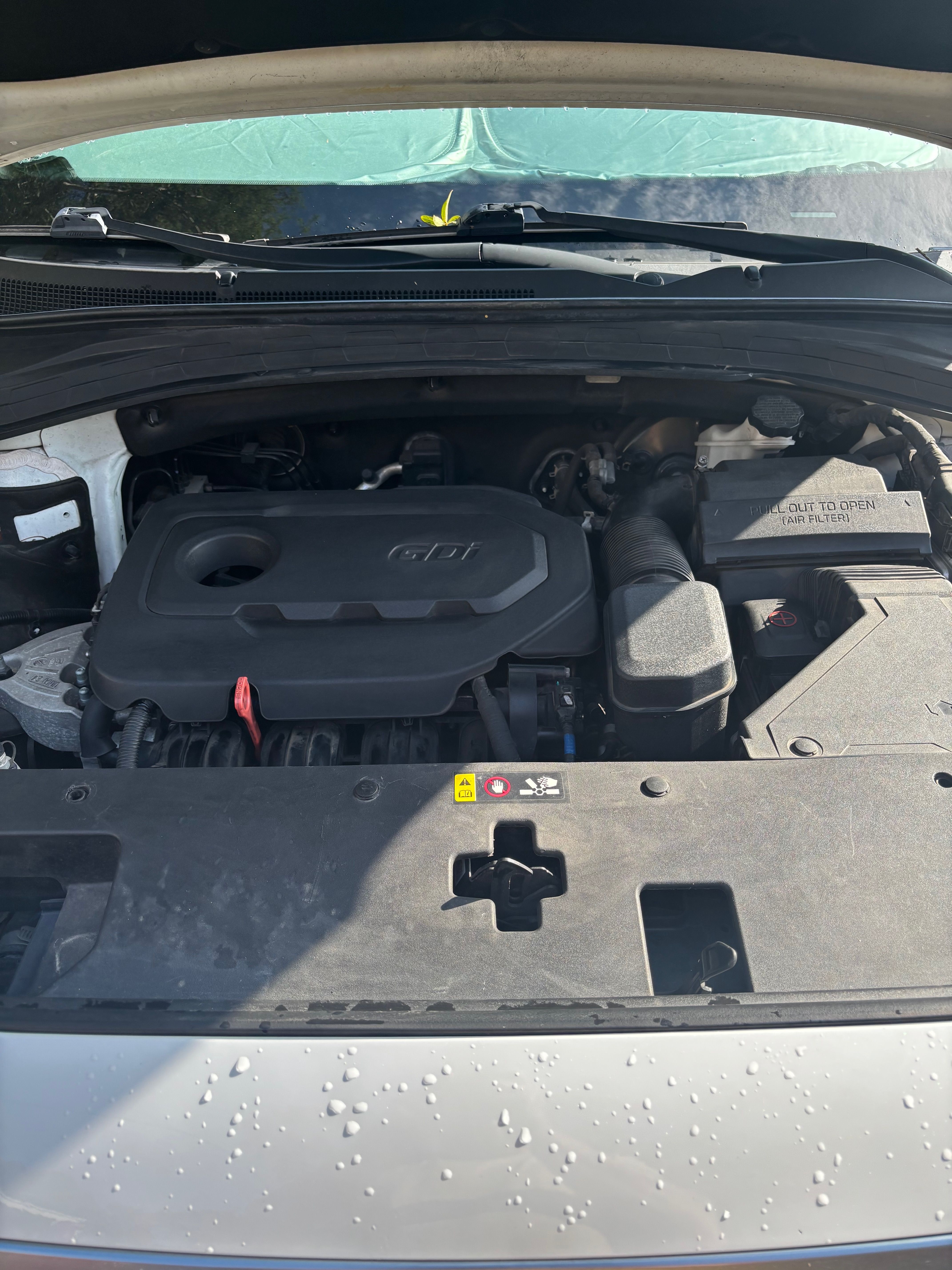 Used 2019 Hyundai Santa Fe SEL FWD image 17