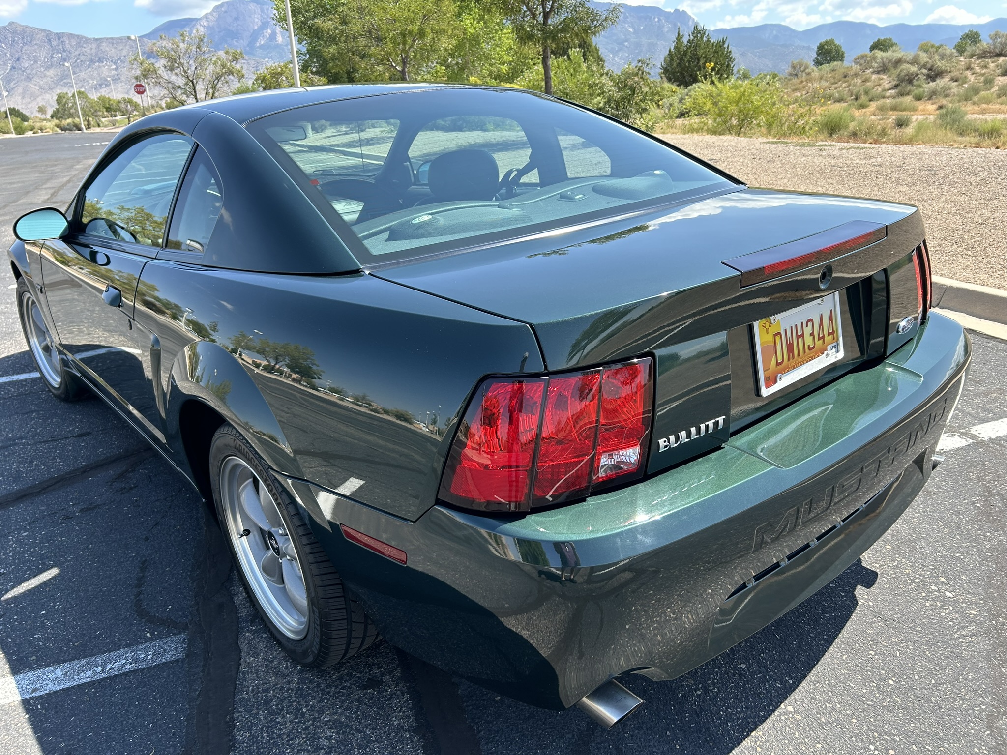Used 2001 Ford Mustang GT RWD image 9