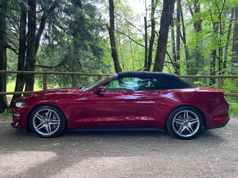 Used 2019 Ford Mustang Premium w/ Ecoboost Performance Package RWD image 11