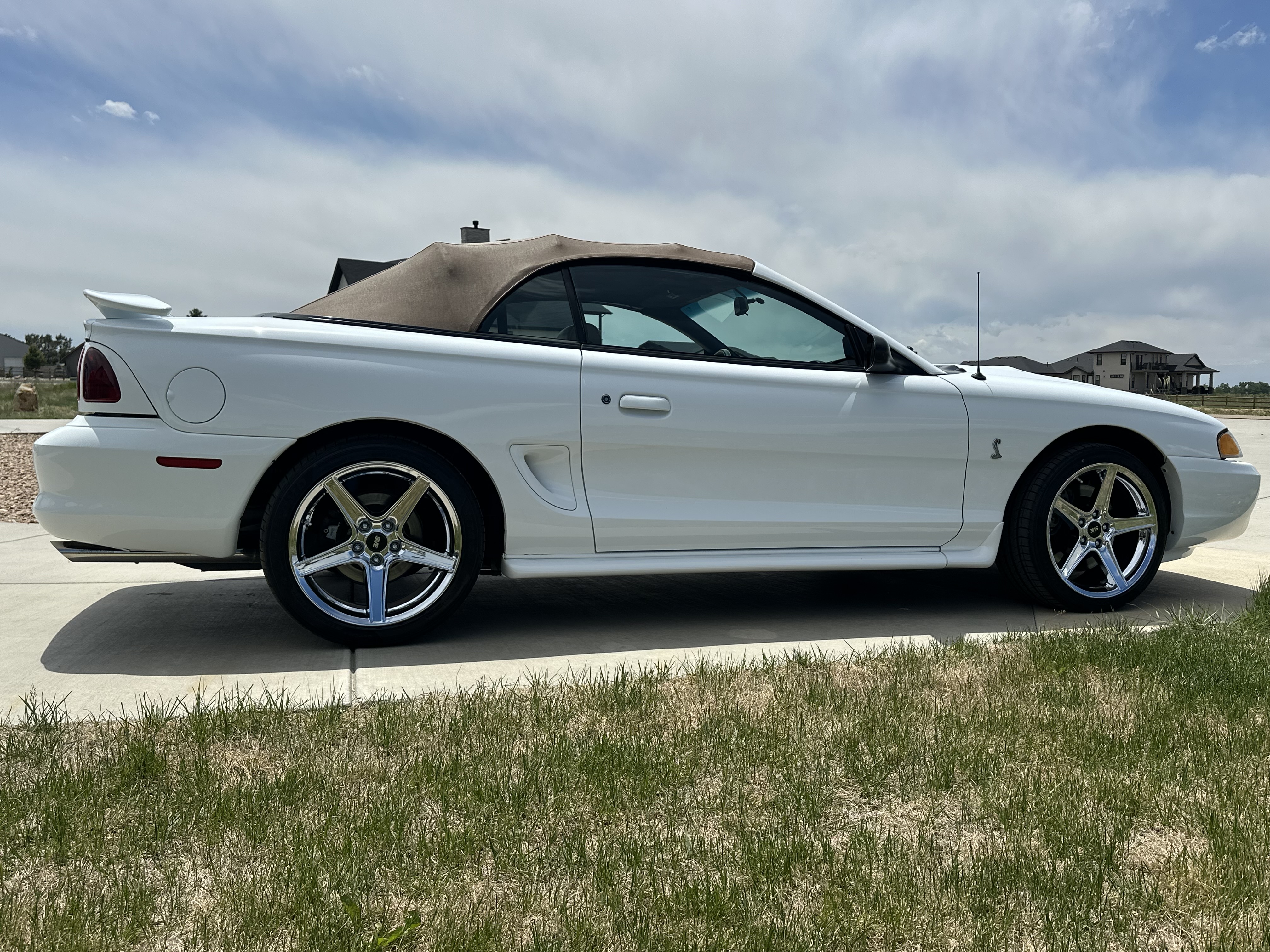 Used 1997 Ford Mustang Cobra RWD image 5