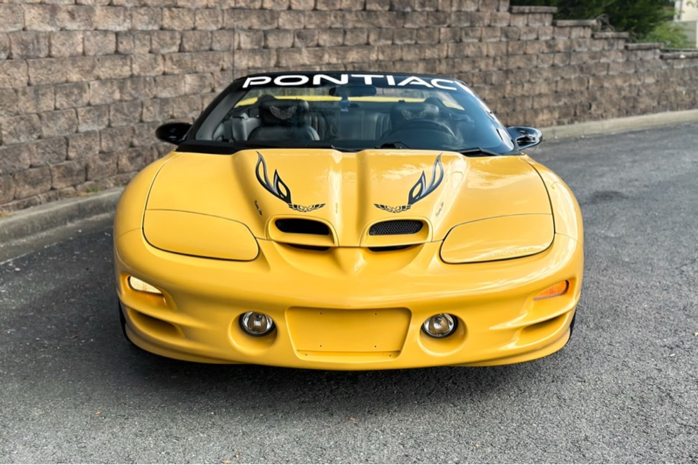 Used 2002 Pontiac Firebird Trans Am RWD image 11