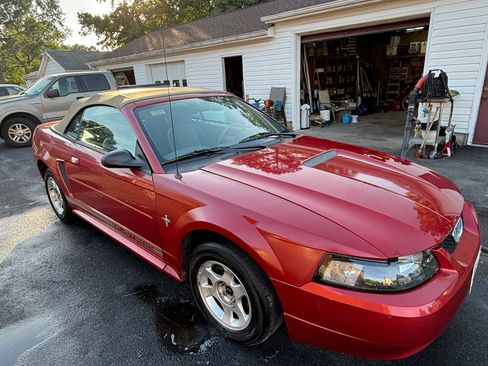 Used 2002 Ford Mustang Premium RWD image 6