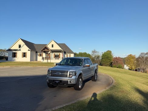 Used 2010 Ford F150 Platinum image 1